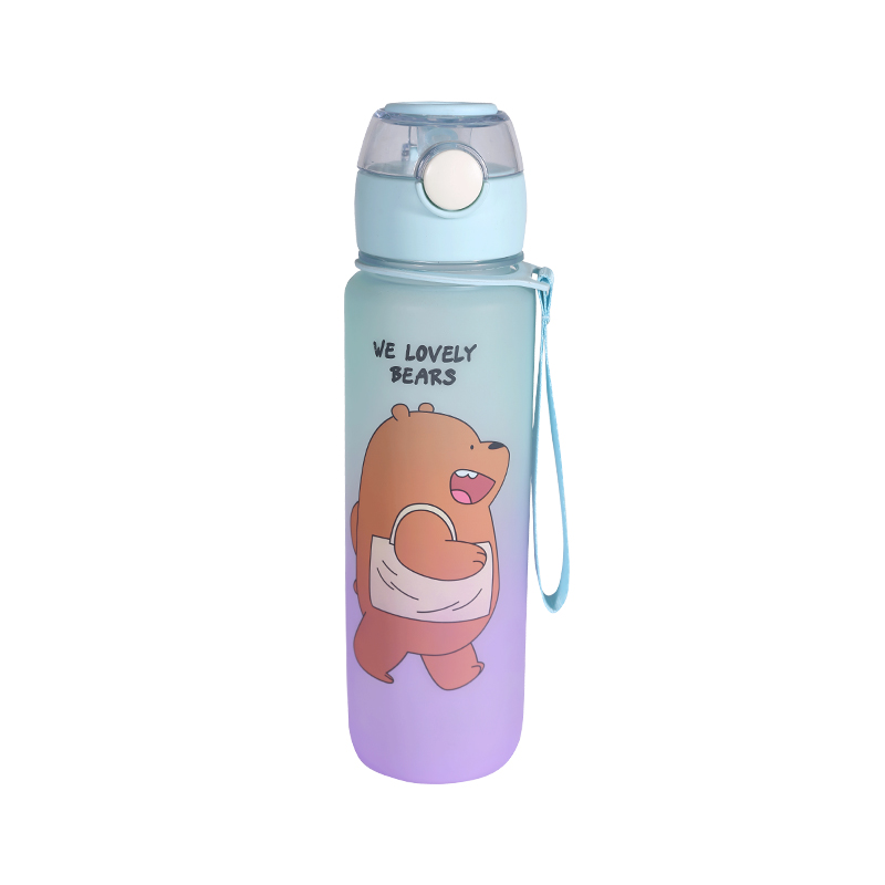 Frosted Cartoon Bear Pattern Water Bottle Set