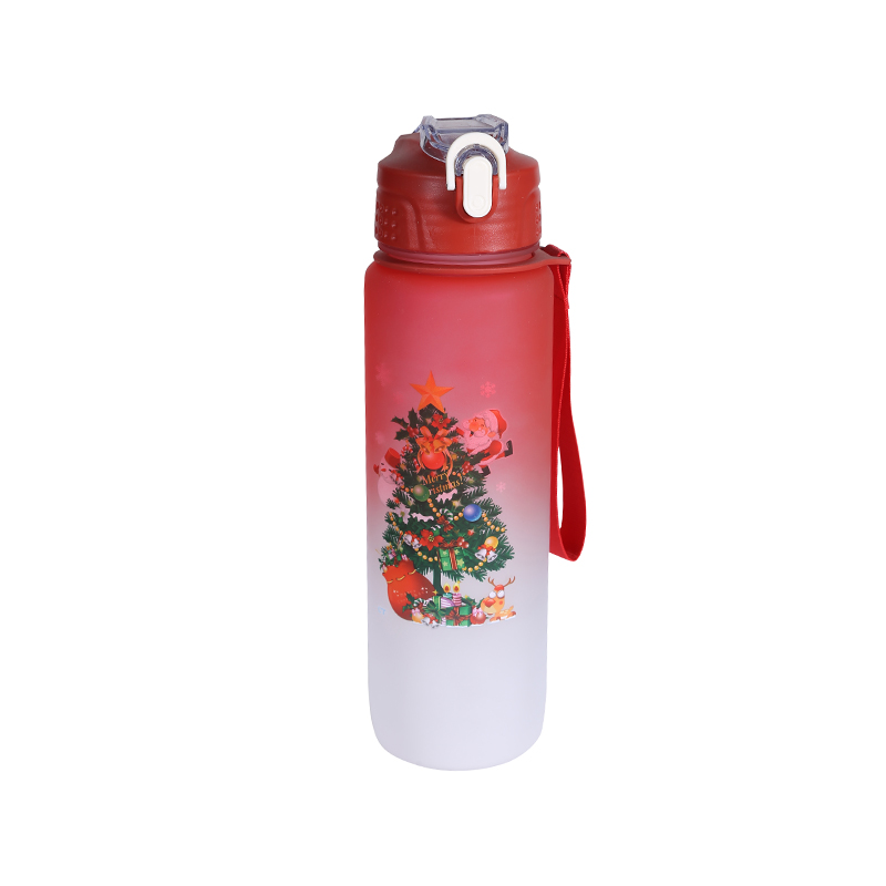 Christmas Series Frosted Gradient Sports Water Bottle Cup