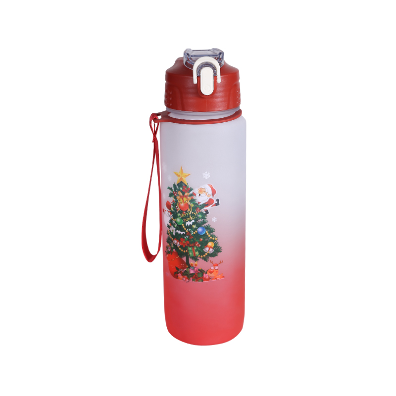 Christmas Series Frosted Gradient Sports Water Bottle Cup