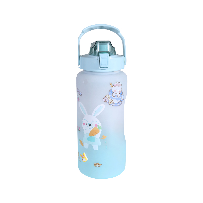 Rabbit Pattern Frosted Sports Water Bottle