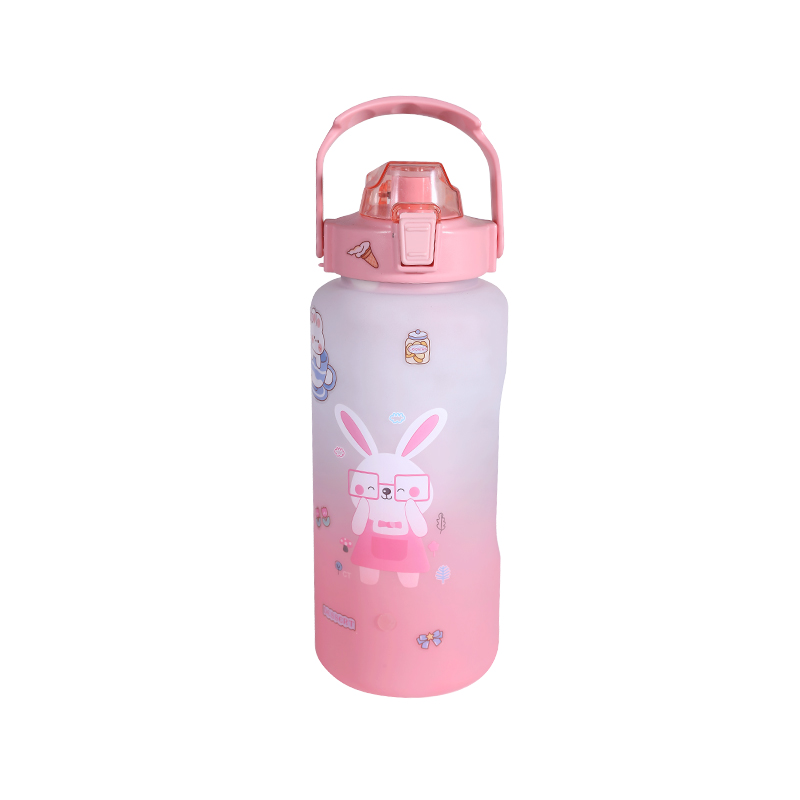 Rabbit Pattern Frosted Sports Water Bottle