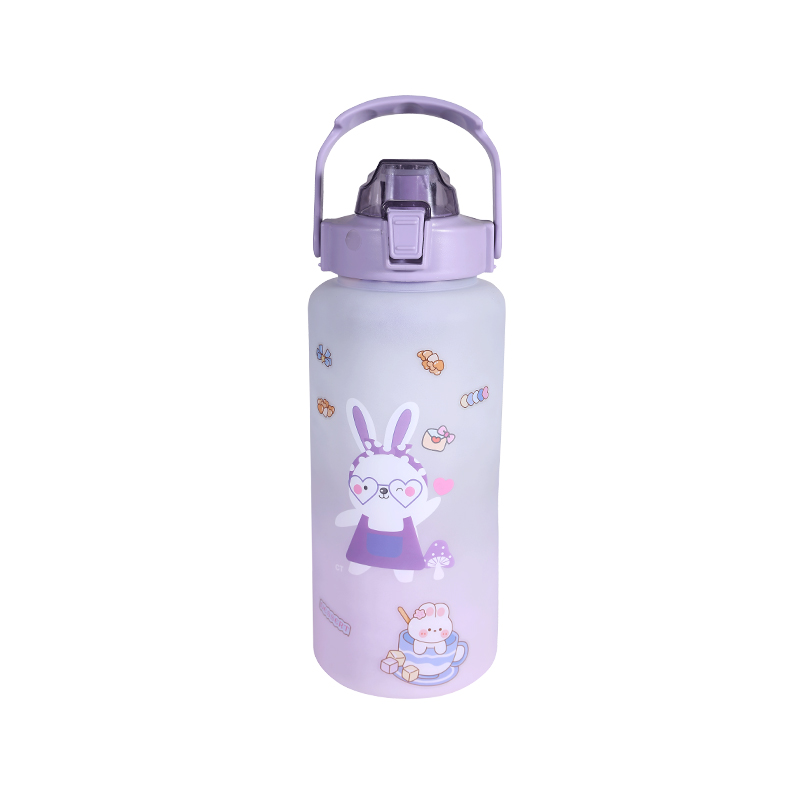 Rabbit Pattern Frosted Sports Water Bottle