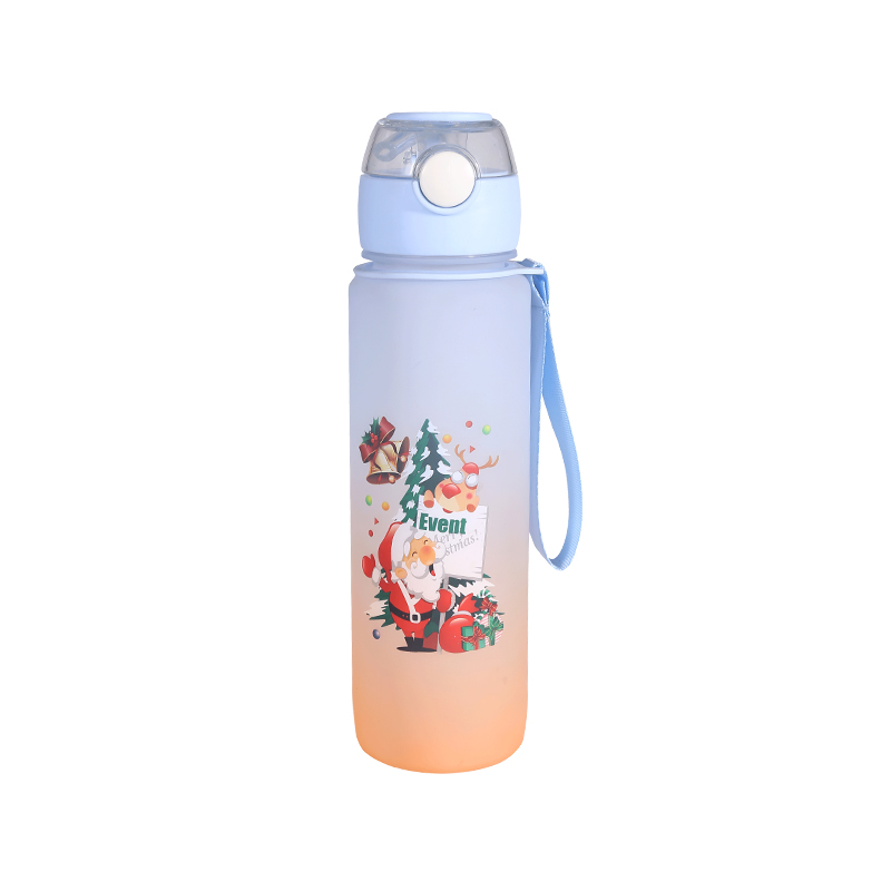 Christmas Frosted Series Sports Bottle