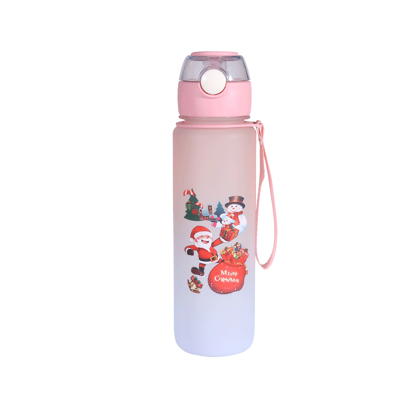 Christmas Frosted Series Sports Bottle