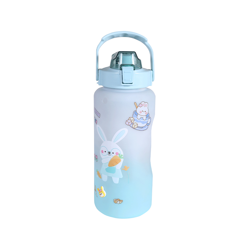 Rabbit Pattern Frosted Sports Water Bottle