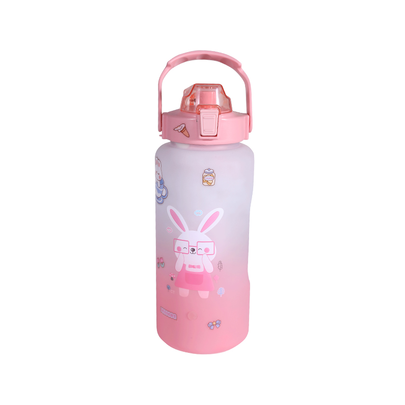 Rabbit Pattern Frosted Sports Water Bottle