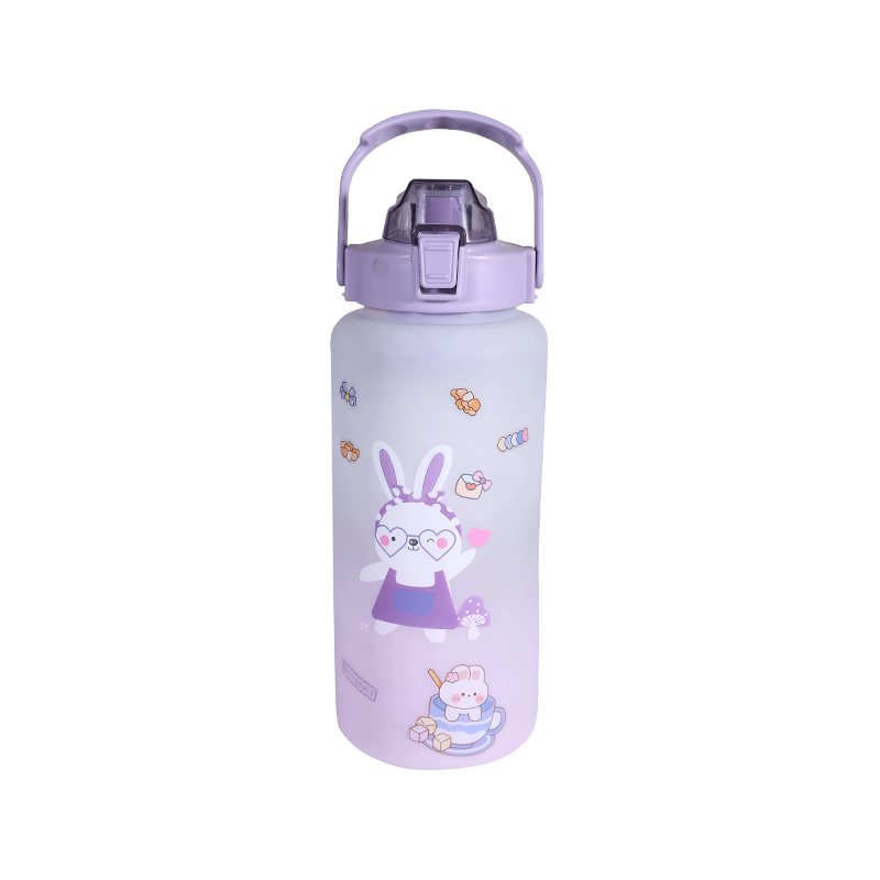 Rabbit Pattern Frosted Sports Water Bottle